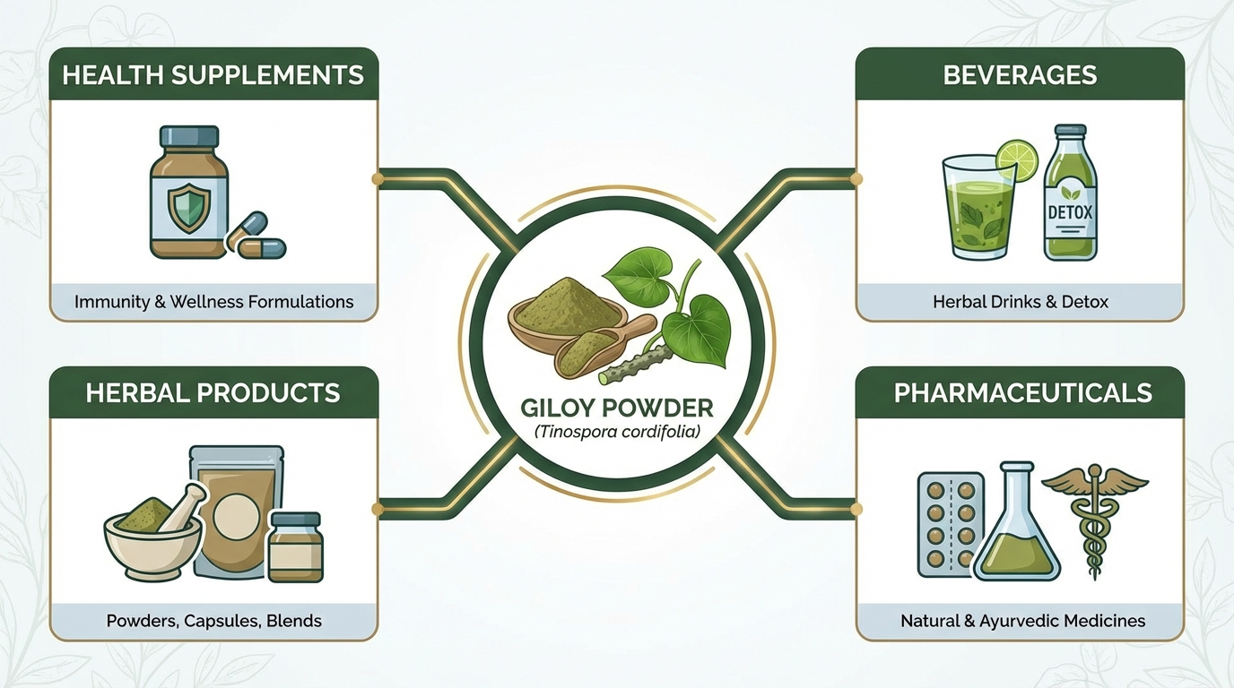 Giloy Powder Applications