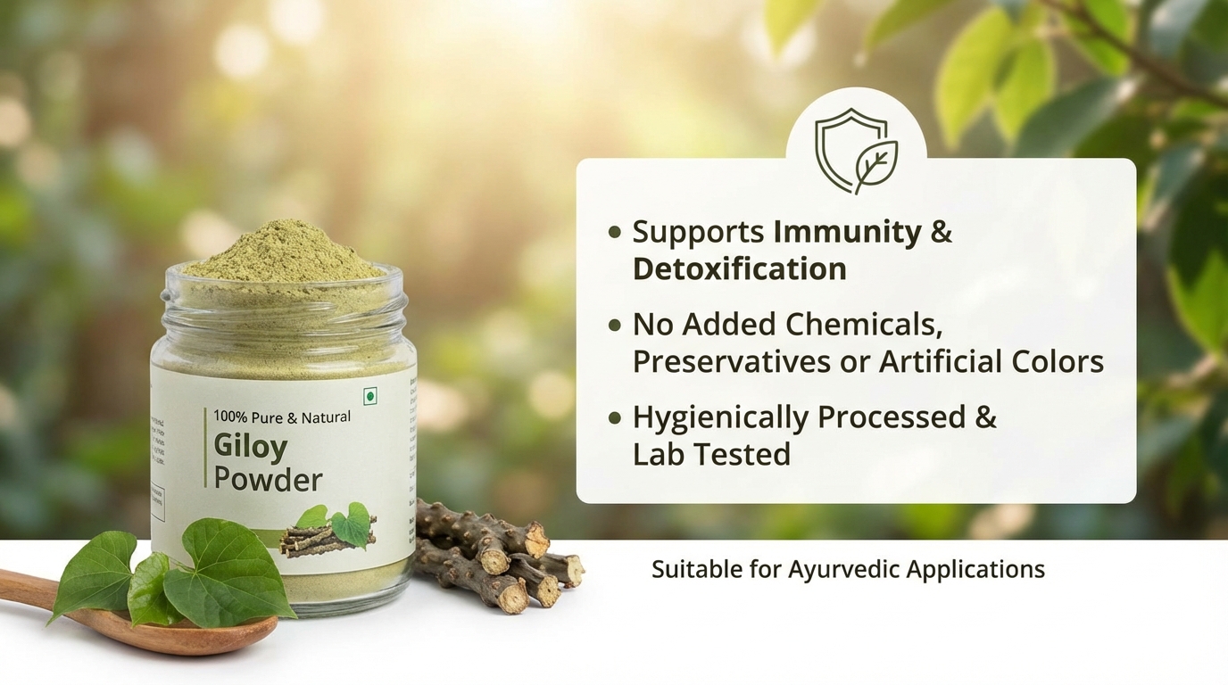 Giloy Powder Feature Image