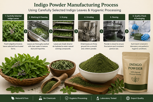 Indigo powder manufacturing process using carefully selected indigo leaves and hygienic processing